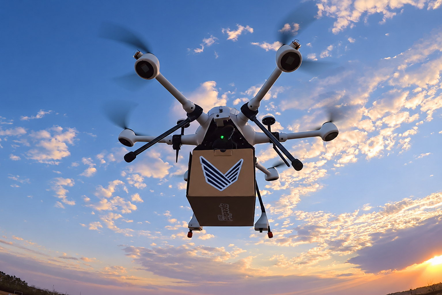DLV-1